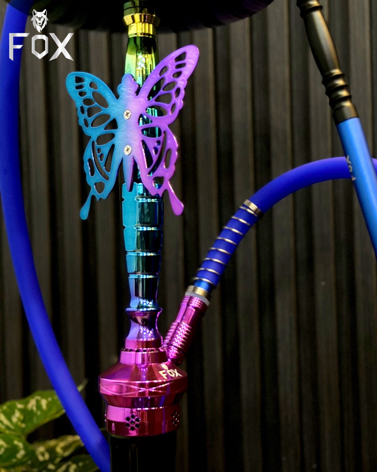 Fox Butterfly fancy Shisha