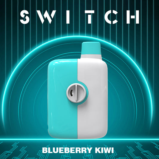 Mr fog Switch Blueberry Kiwi